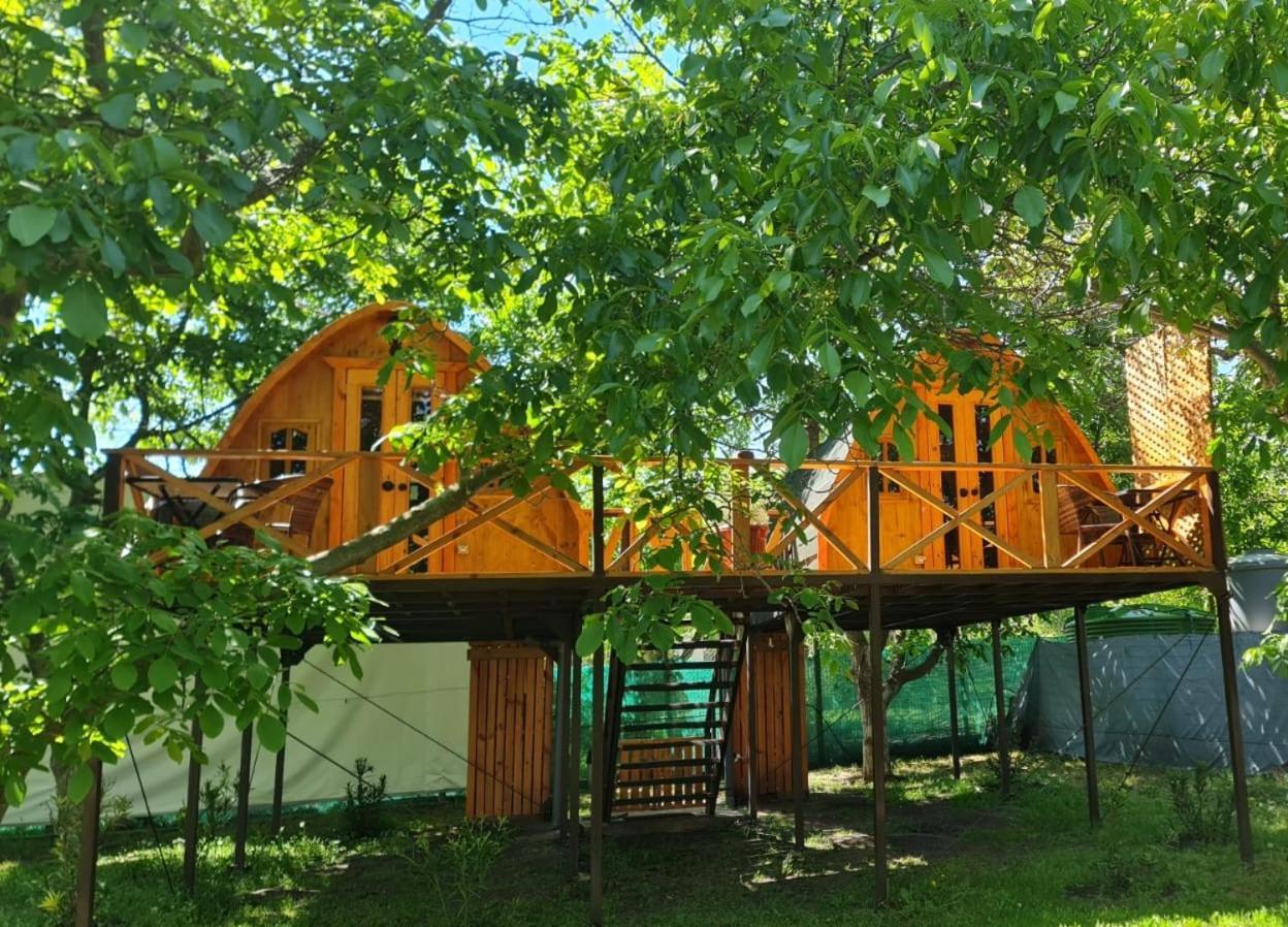 Cabanas Penaflor Glamping Exteriér fotografie